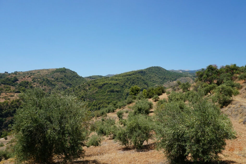 Finca - Cortijo Yunquera Málaga - Bild 10