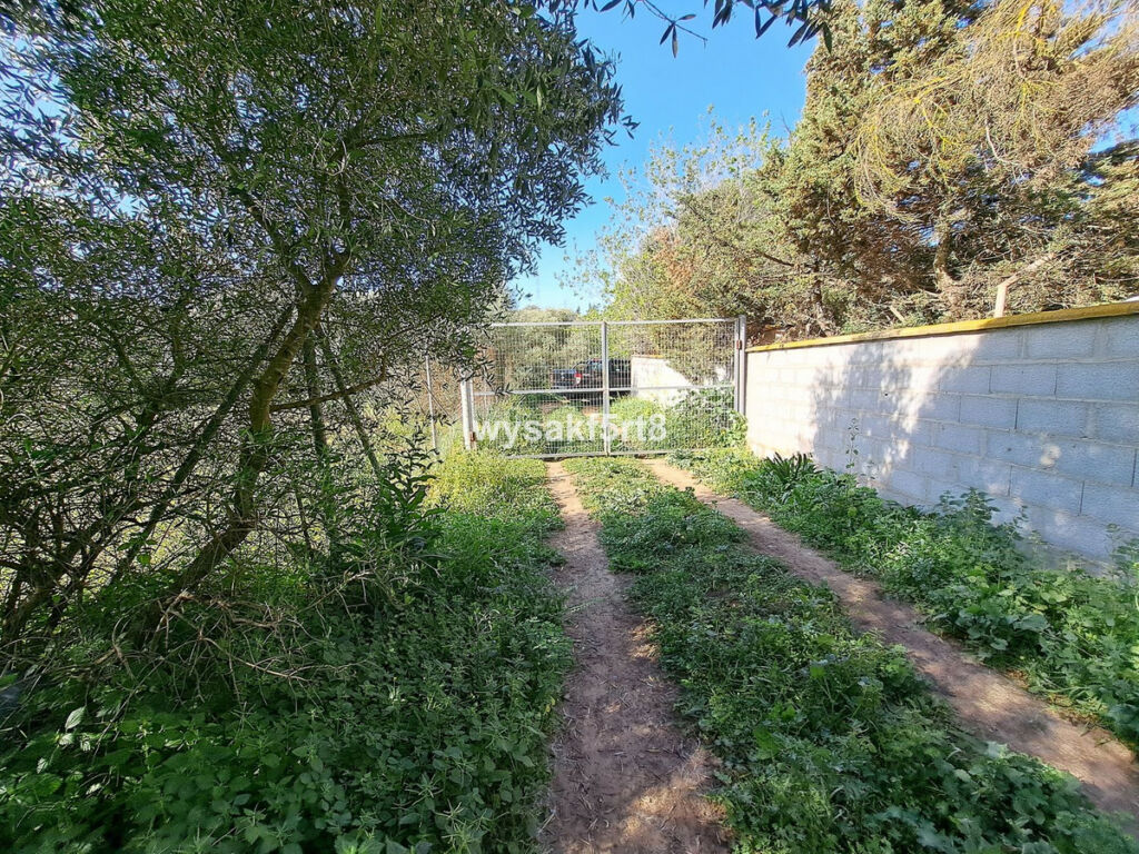 Land San Roque Cádiz - imagen 10