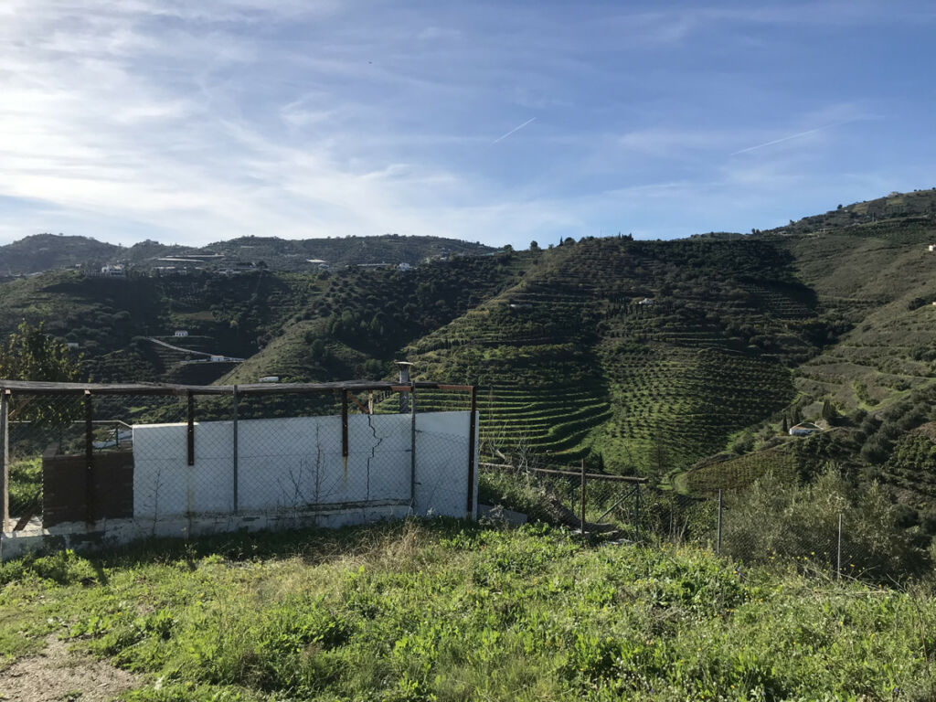 Finca - Cortijo Frigiliana Málaga - imagen 11