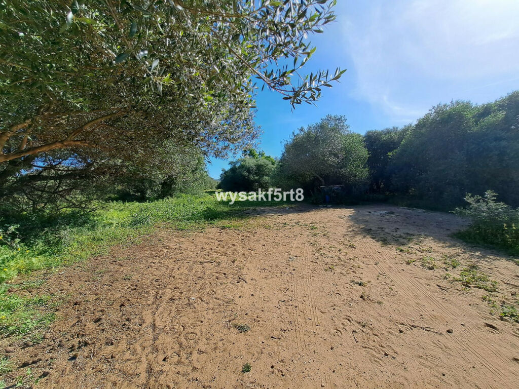 Land San Roque Cádiz - imagen 11