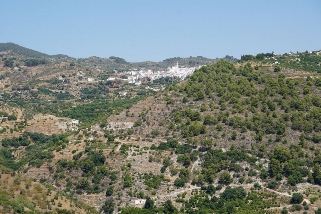 Finca - Cortijo Yunquera Málaga - Bild 12