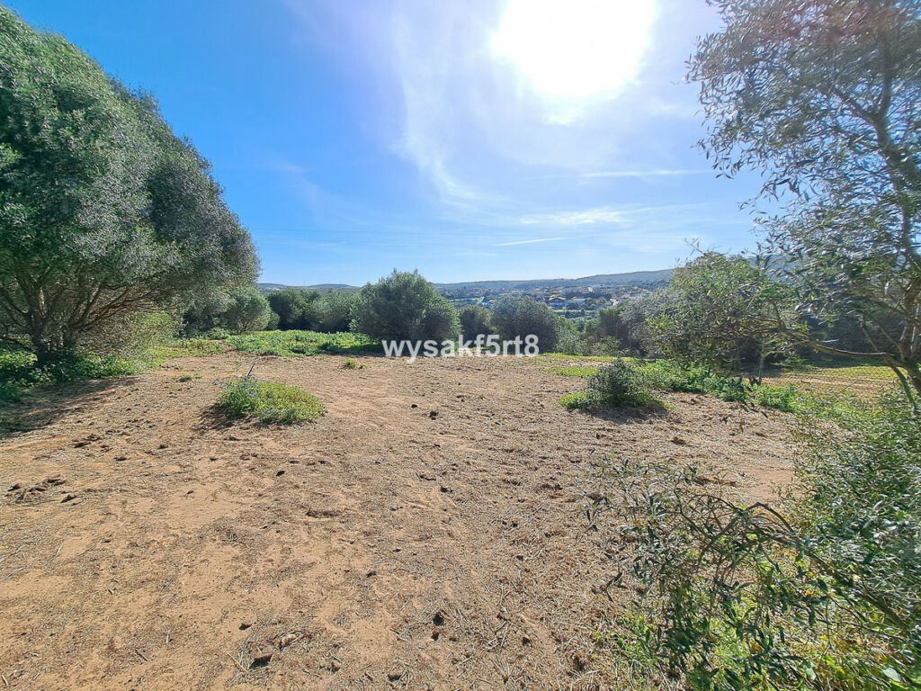 Land San Roque Cádiz - imagen 12