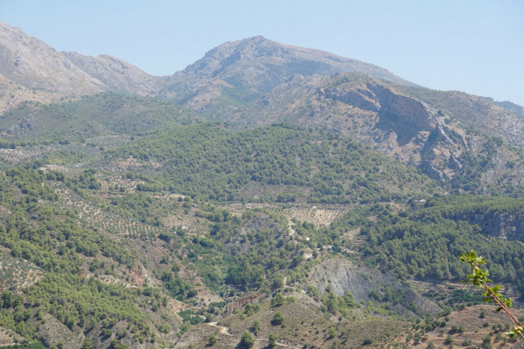Finca - Cortijo Yunquera Málaga - Bild 13