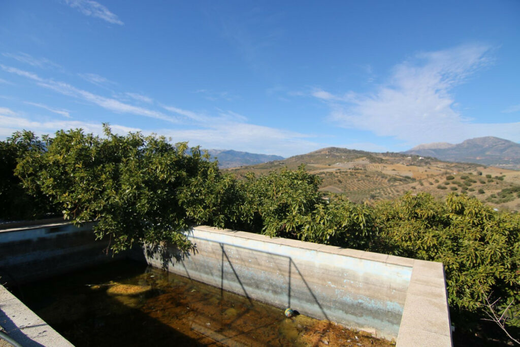 Land Coín Málaga - Bild 13