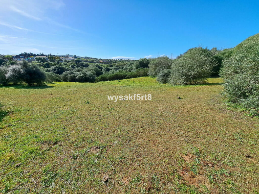 Land San Roque Cádiz - imagen 13