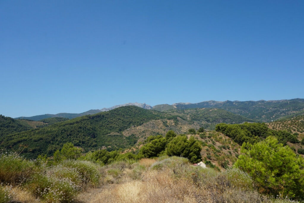 Finca - Cortijo Yunquera Málaga - Bild 15
