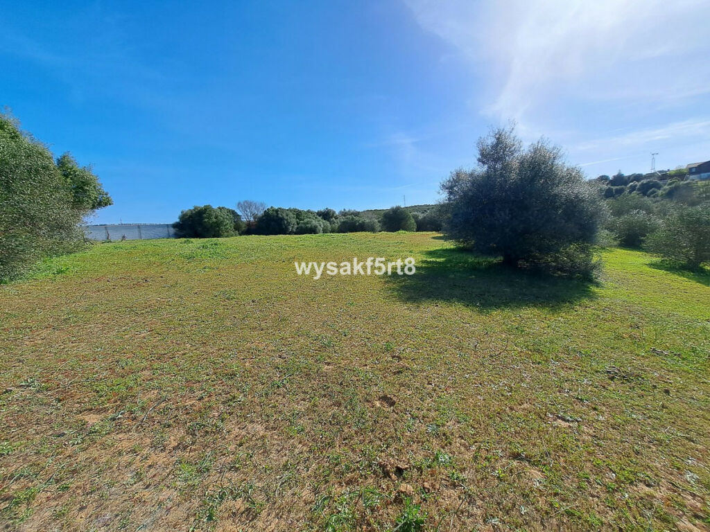 Land San Roque Cádiz - imagen 14
