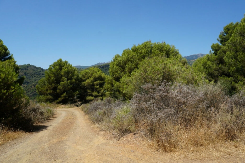 Finca - Cortijo Yunquera Málaga - Bild 16