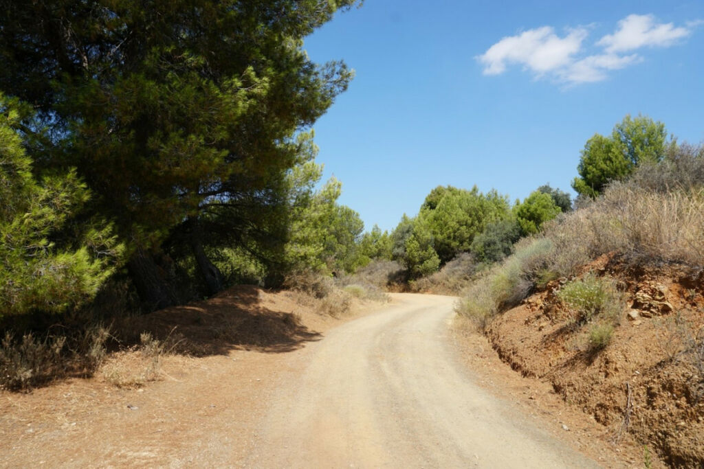 Finca - Cortijo Yunquera Málaga - Bild 17