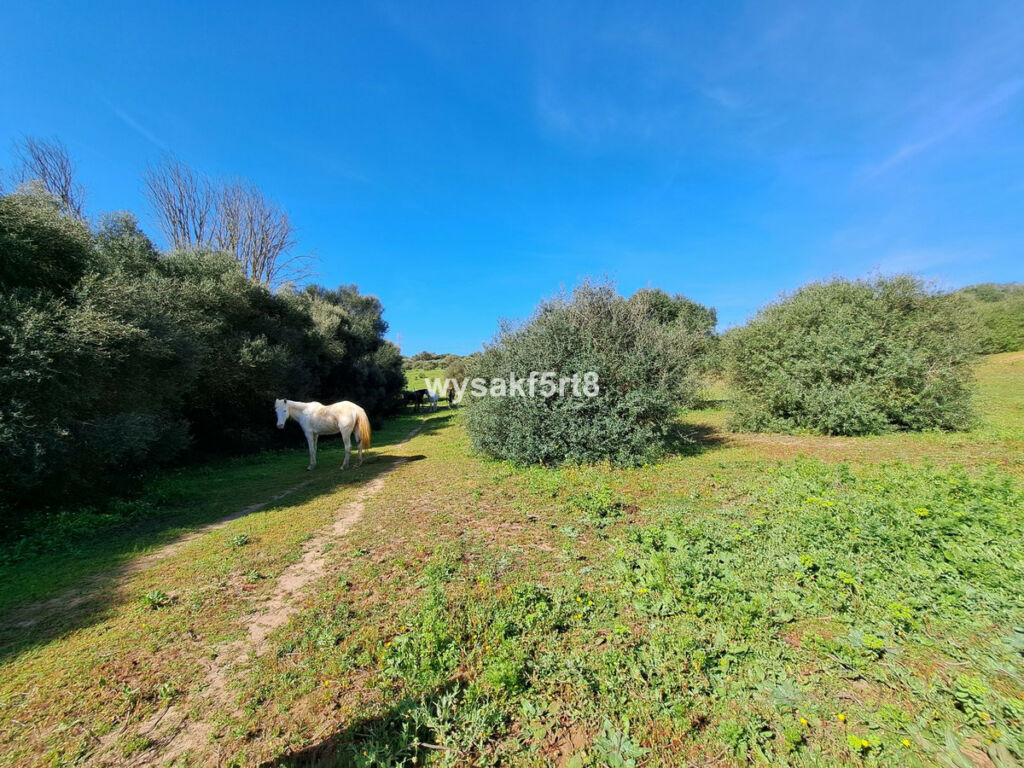 Land San Roque Cádiz - imagen 3
