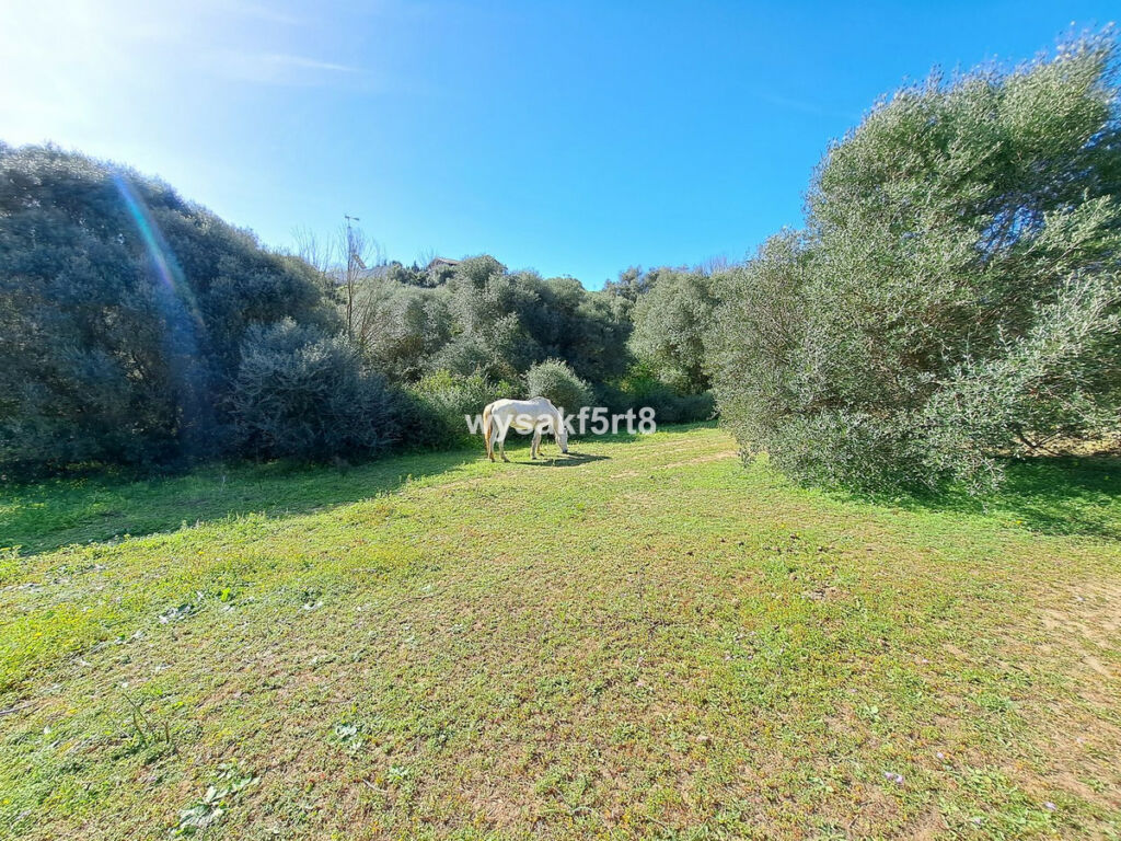 Land San Roque Cádiz - imagen 17