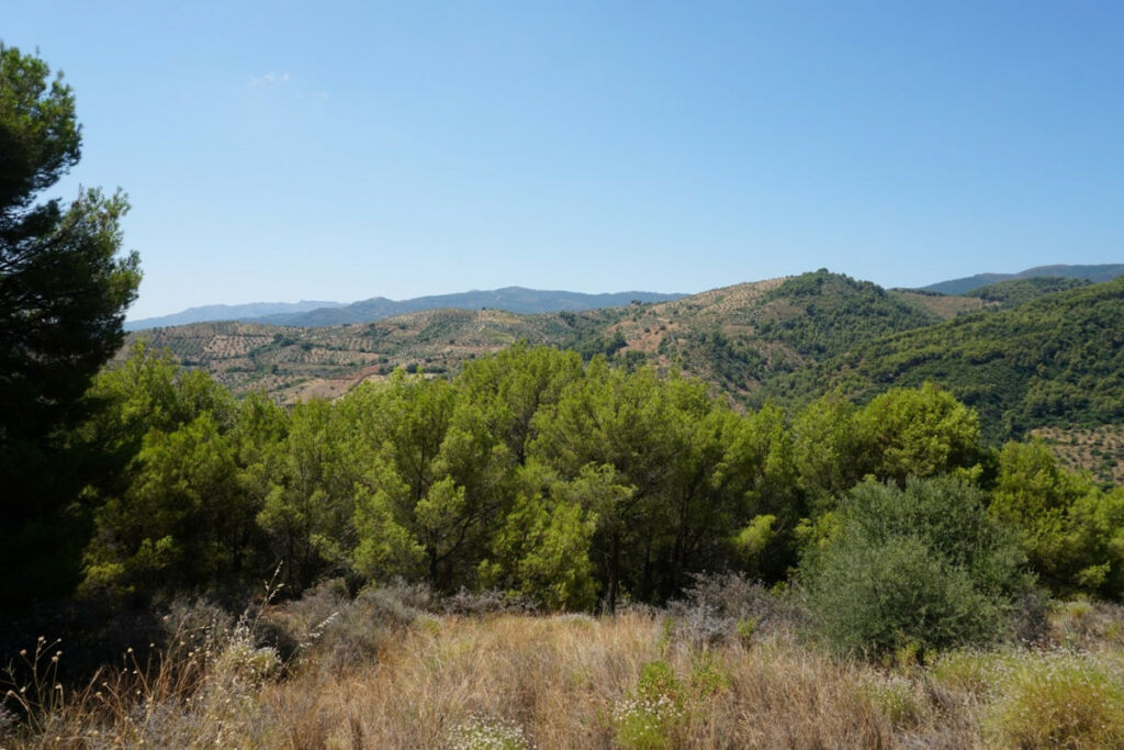 Finca - Cortijo Yunquera Málaga - Bild 19