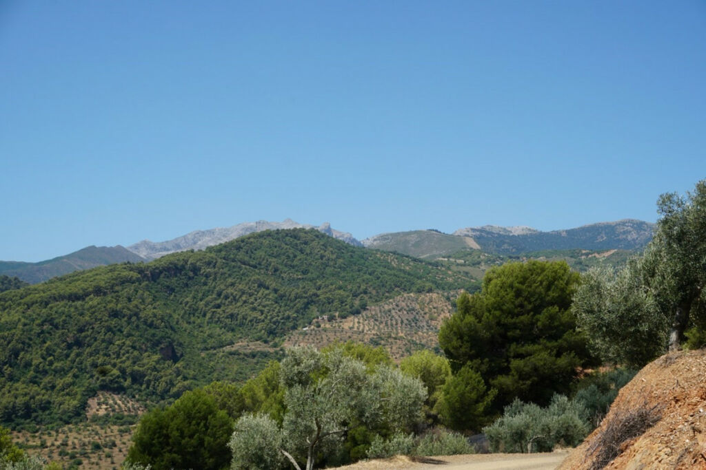 Finca - Cortijo Yunquera Málaga - Bild 20