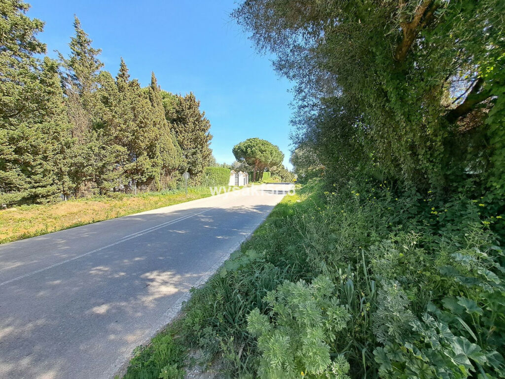 Land San Roque Cádiz - imagen 19