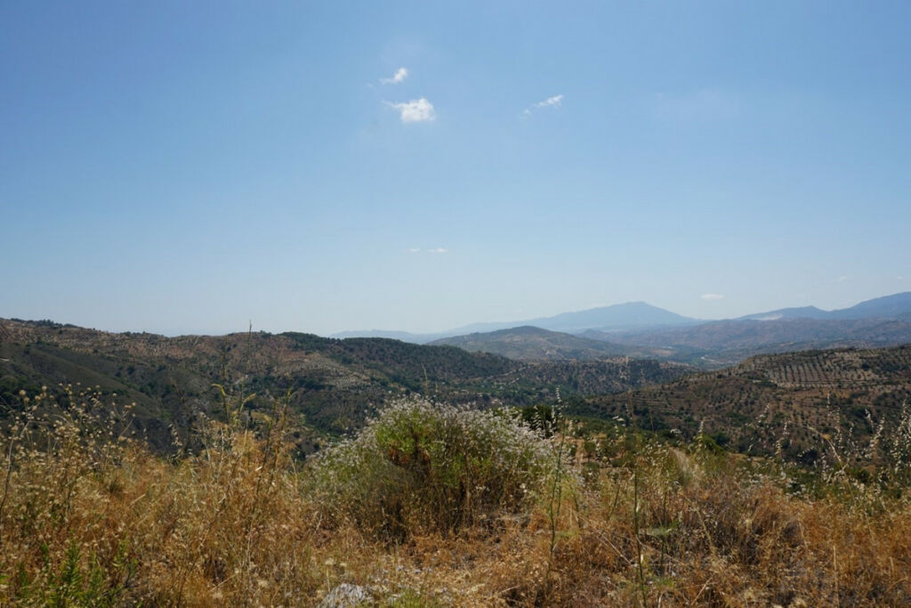 Finca - Cortijo Yunquera Málaga - Bild 22
