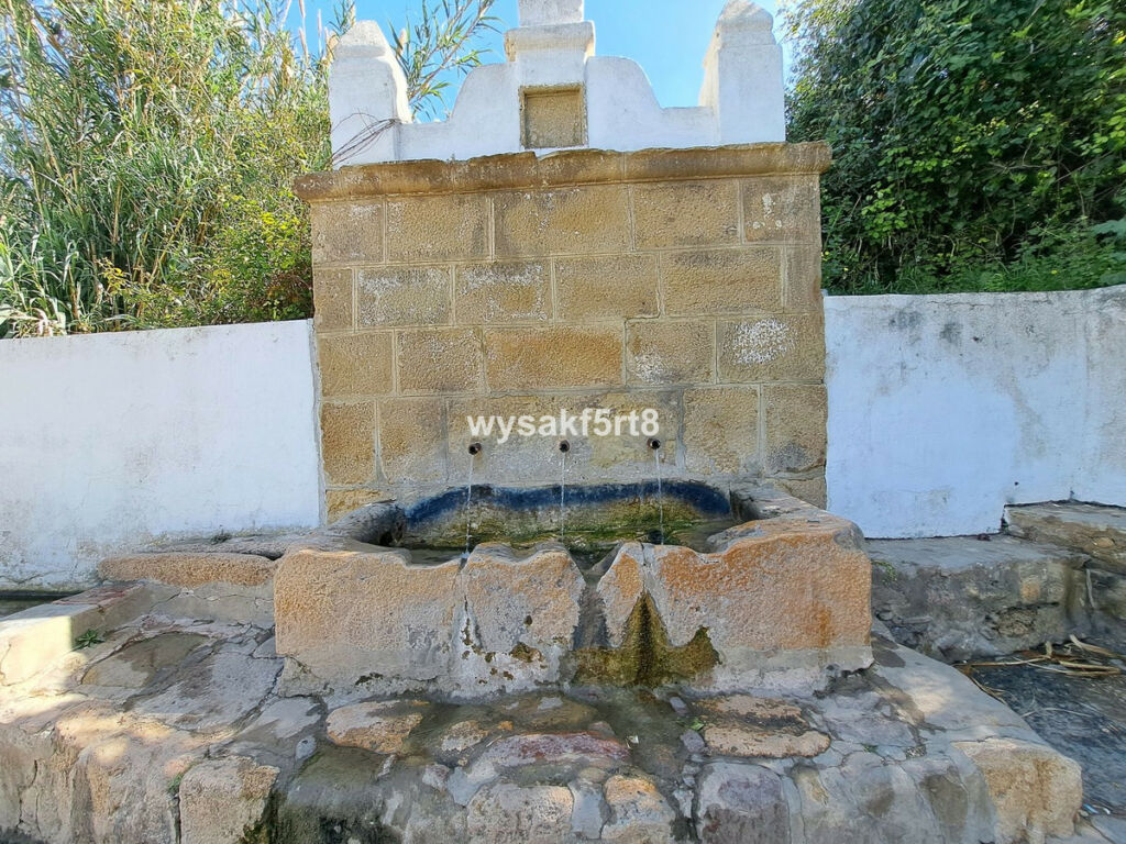 Land San Roque Cádiz - imagen 23