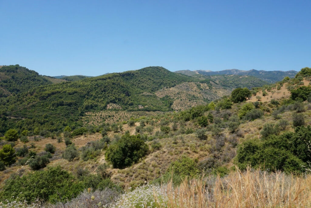 Finca - Cortijo Yunquera Málaga - Bild 27