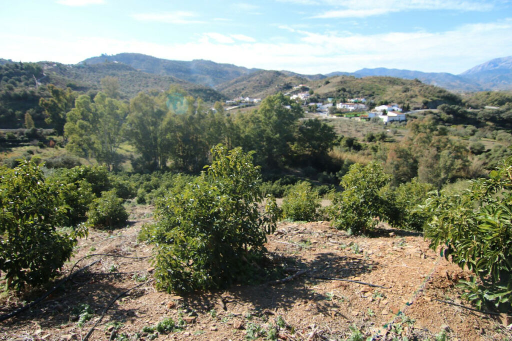 Land Coín Málaga - Bild 27