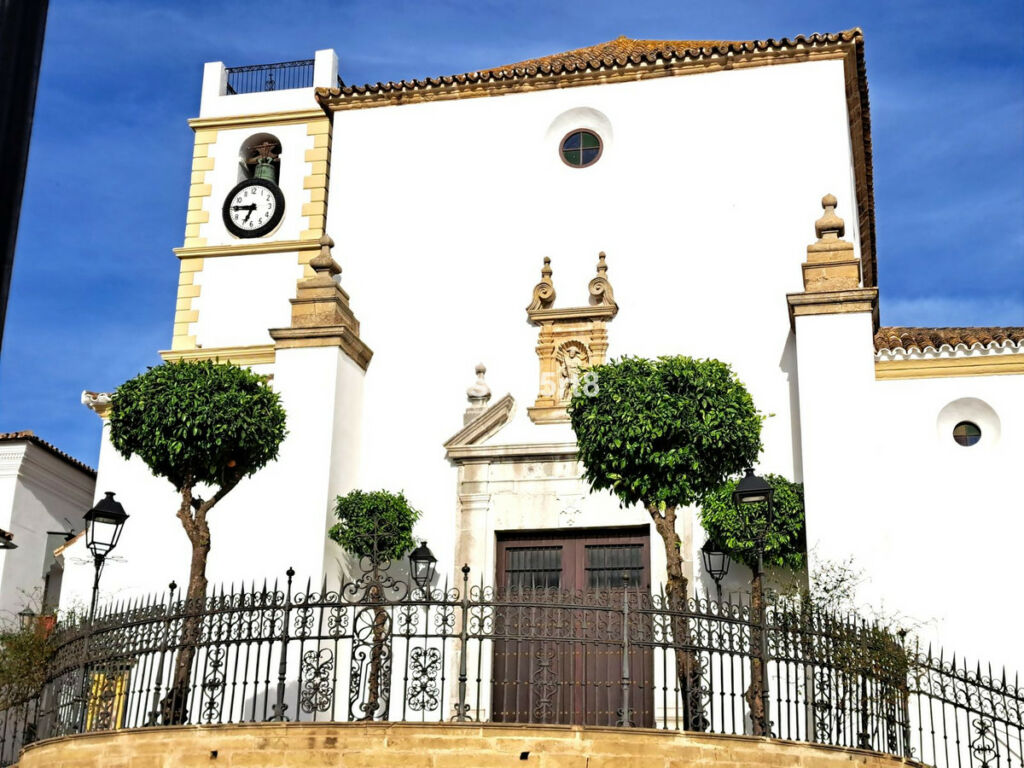 Land San Roque Cádiz - imagen 28