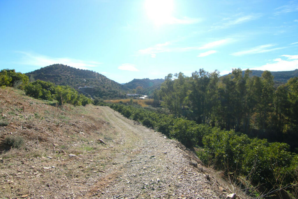 Land Coín Málaga - Bild 28