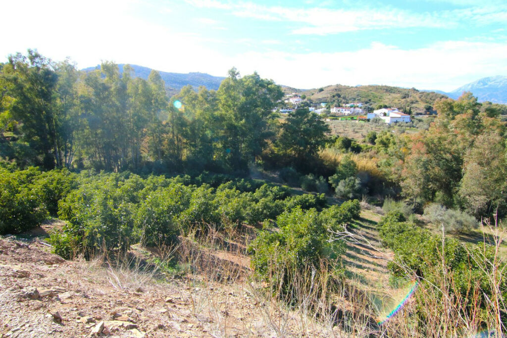 Land Coín Málaga - Bild 29