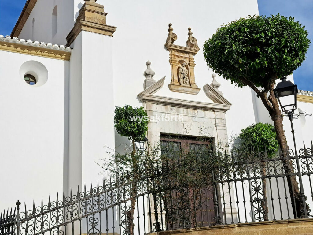 Land San Roque Cádiz - imagen 29