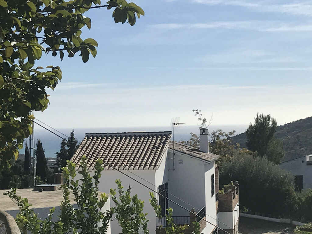 Finca - Cortijo Frigiliana Málaga - imagen 3