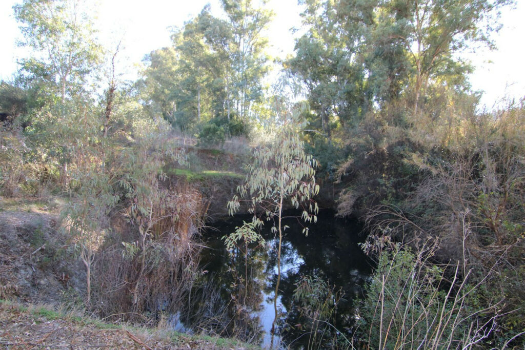 Land Coín Málaga - Bild 32