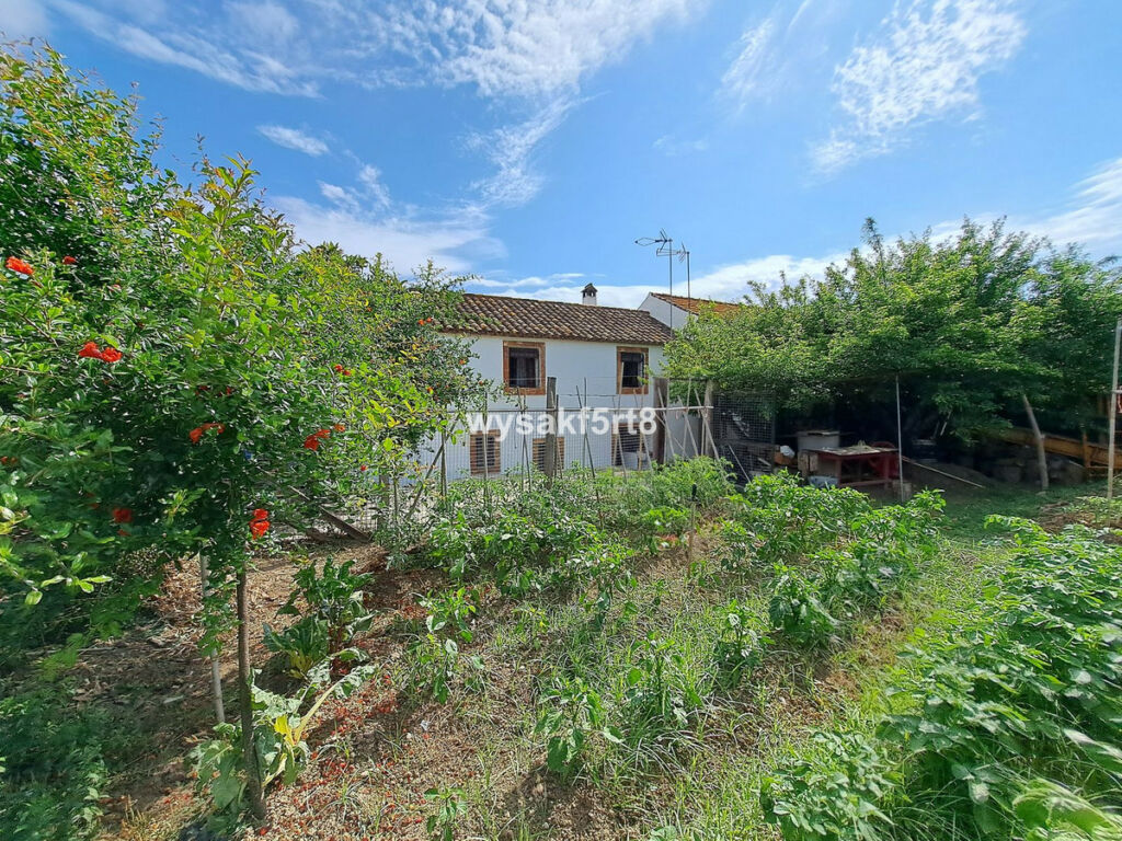 Townhouse Jimena de la Frontera Cádiz - imagen 4