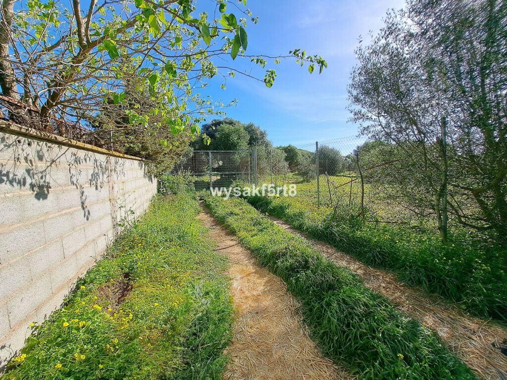 Land San Roque Cádiz - imagen 7