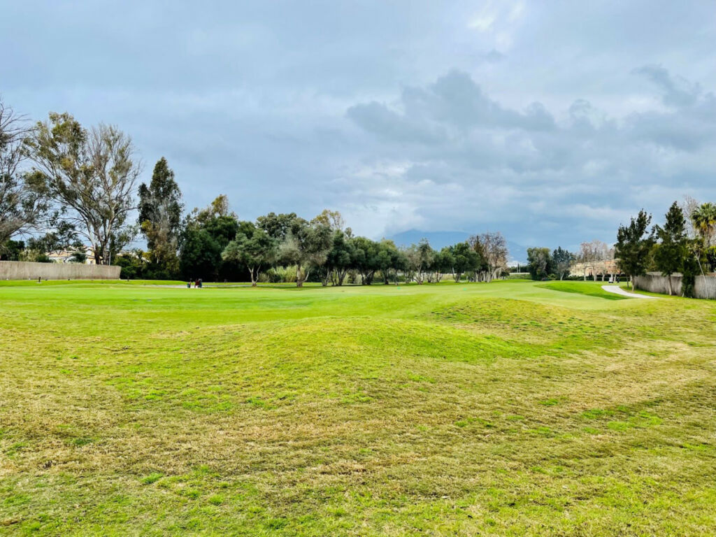 Residential Plot Guadalmina Baja Málaga - imagen 4