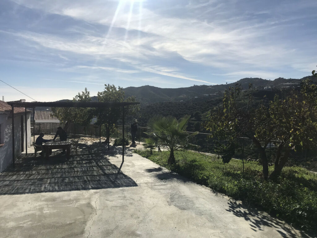 Finca - Cortijo Frigiliana Málaga - imagen 5