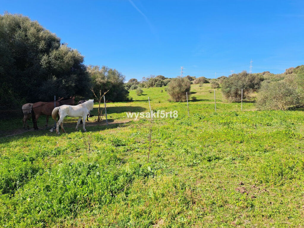 Land San Roque Cádiz - imagen 5