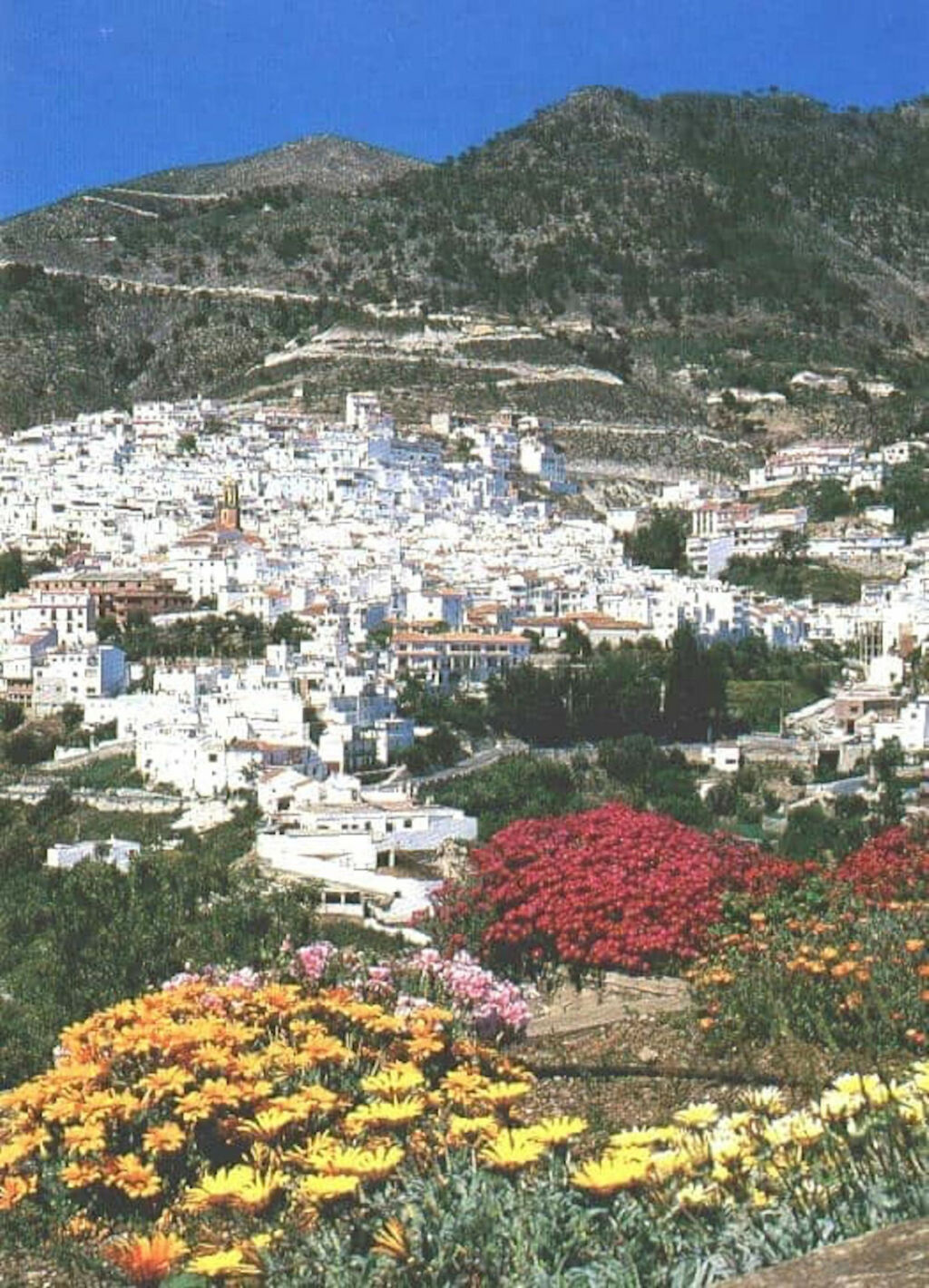 Land Cómpeta Málaga - Bild 5
