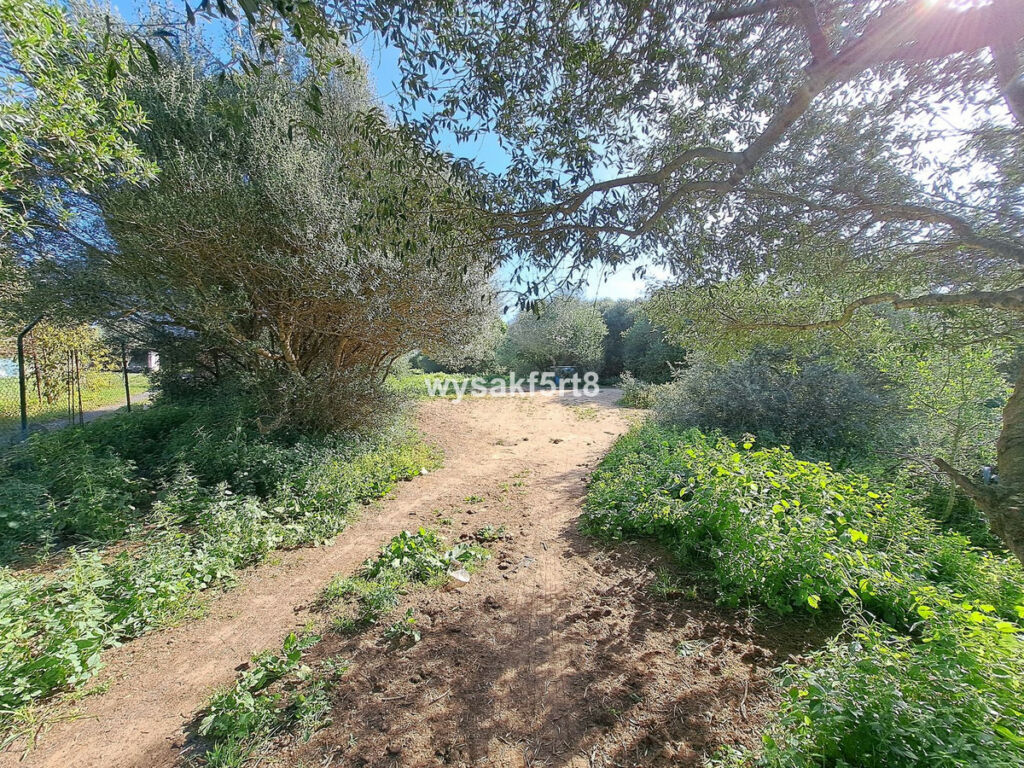Land San Roque Cádiz - imagen 9