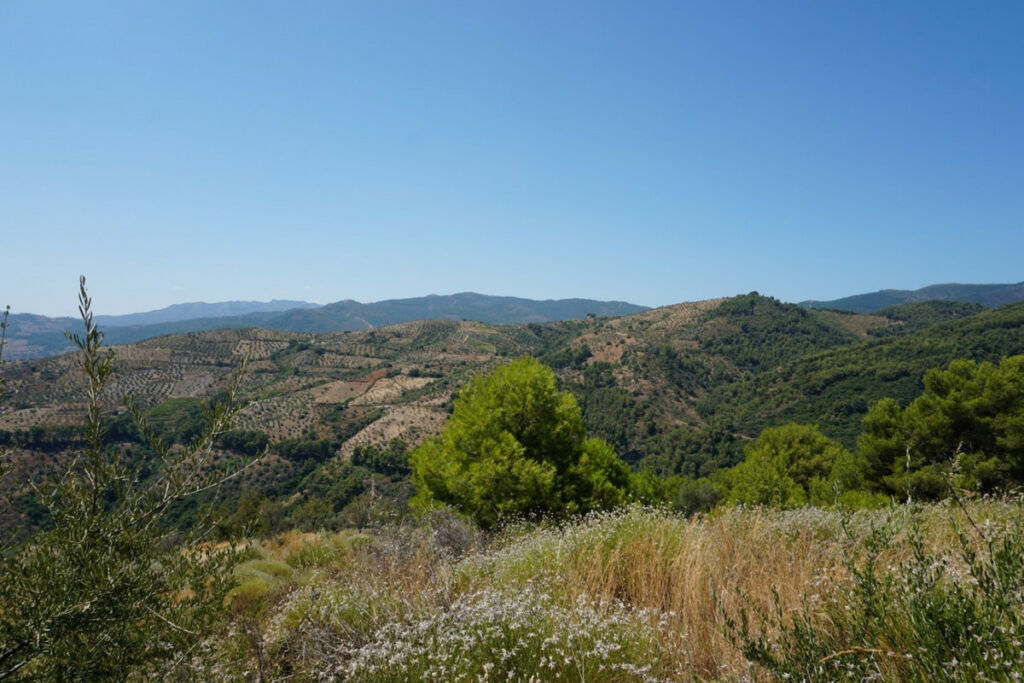Finca - Cortijo Yunquera Málaga - Bild 9