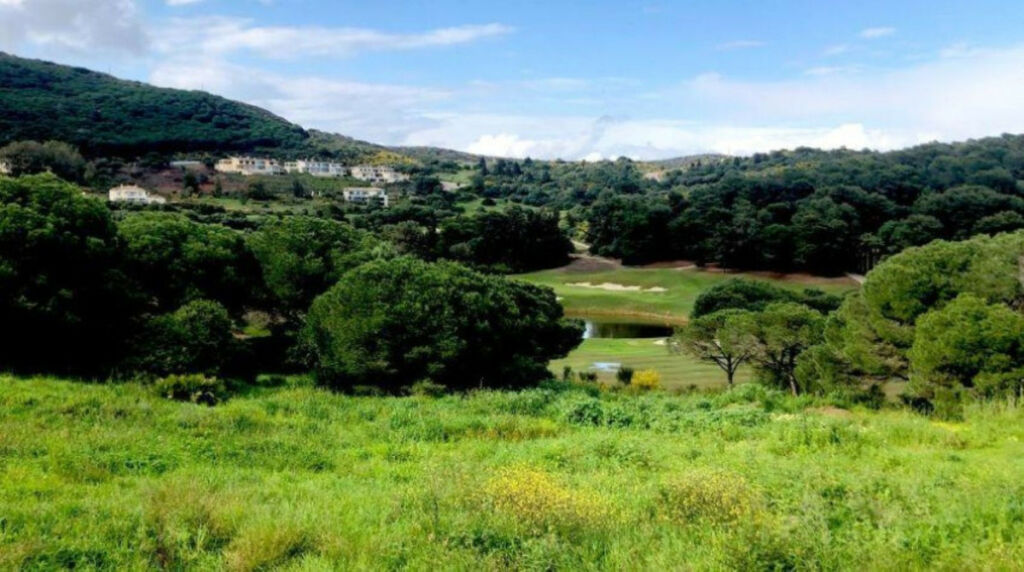 Residential Plot Sotogrande Cádiz - zdjęcie 21