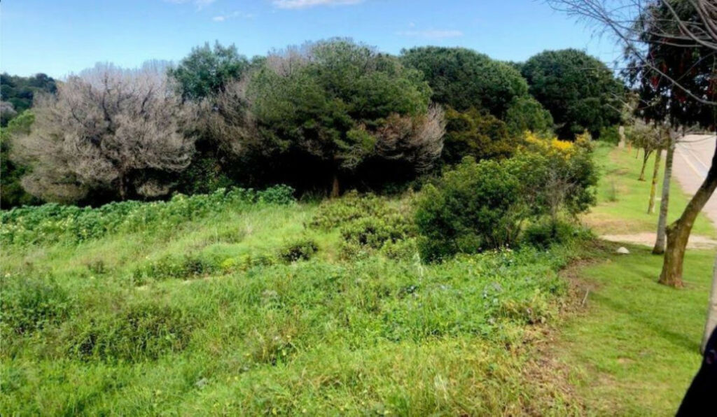 Residential Plot Sotogrande Cádiz - zdjęcie 4