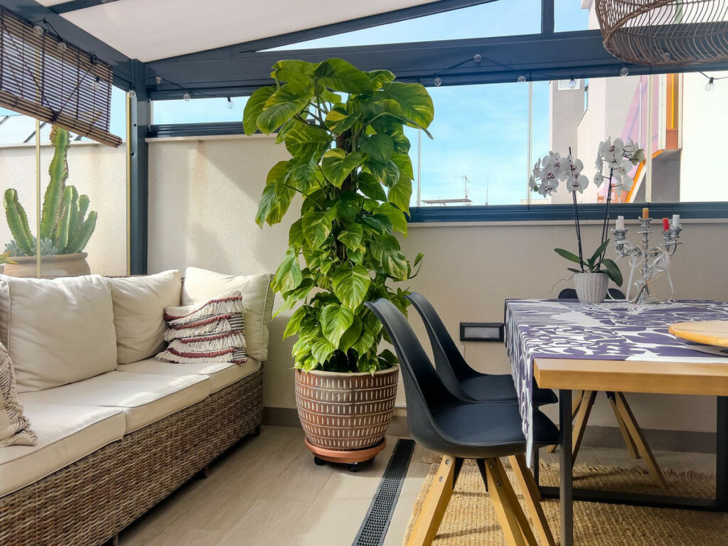 Top Floor Apartment Torrevieja Alicante - imagen 22