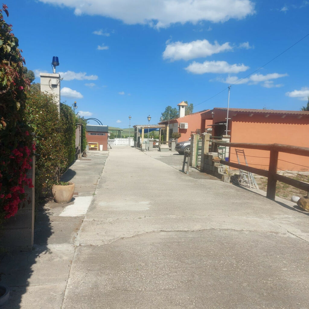 Finca - Cortijo Jimena de la Frontera Cádiz - imagen 4