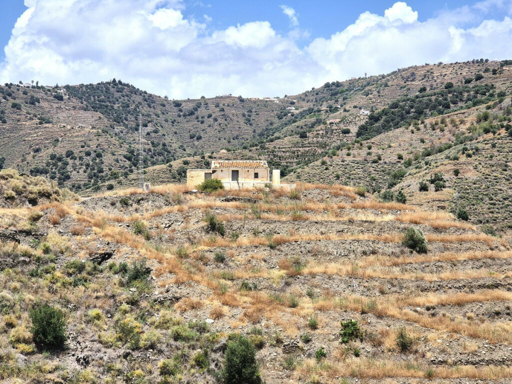 Finca - Cortijo Torrox Málaga - imagen 24