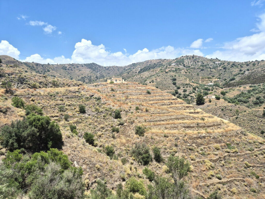 Finca - Cortijo Torrox Málaga - imagen 3