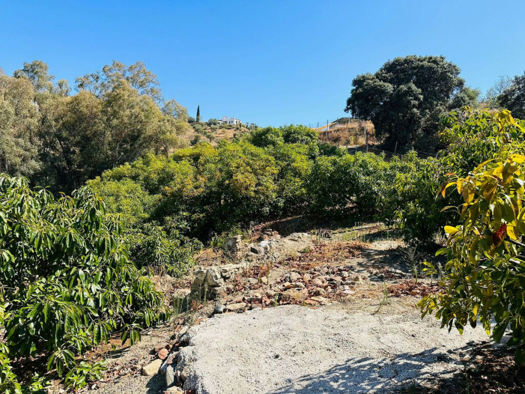 Finca - Cortijo Coín Málaga - imagen 7