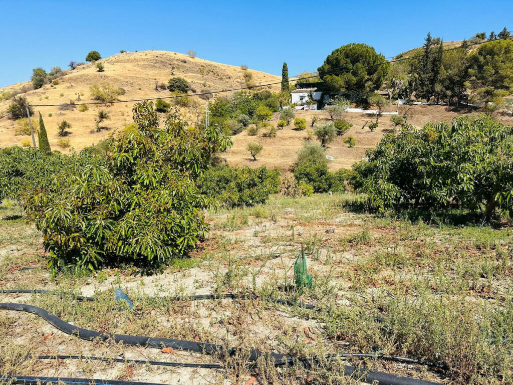 Finca - Cortijo Coín Málaga - imagen 11