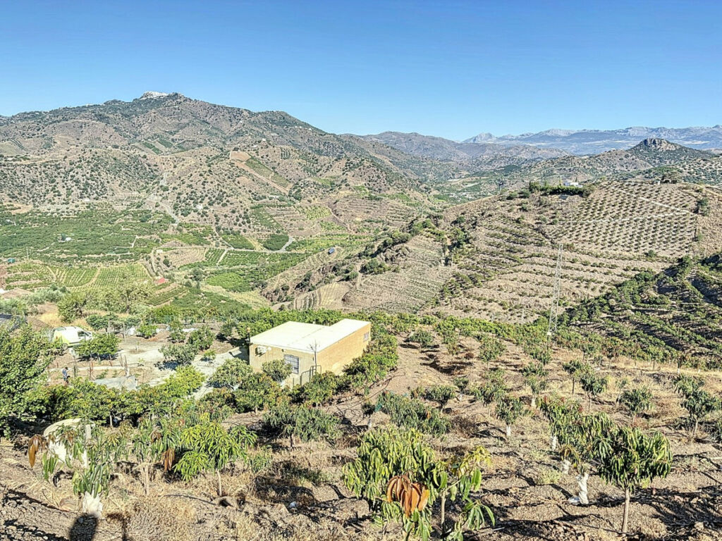 Finca - Cortijo Benamargosa Málaga - imagen 2