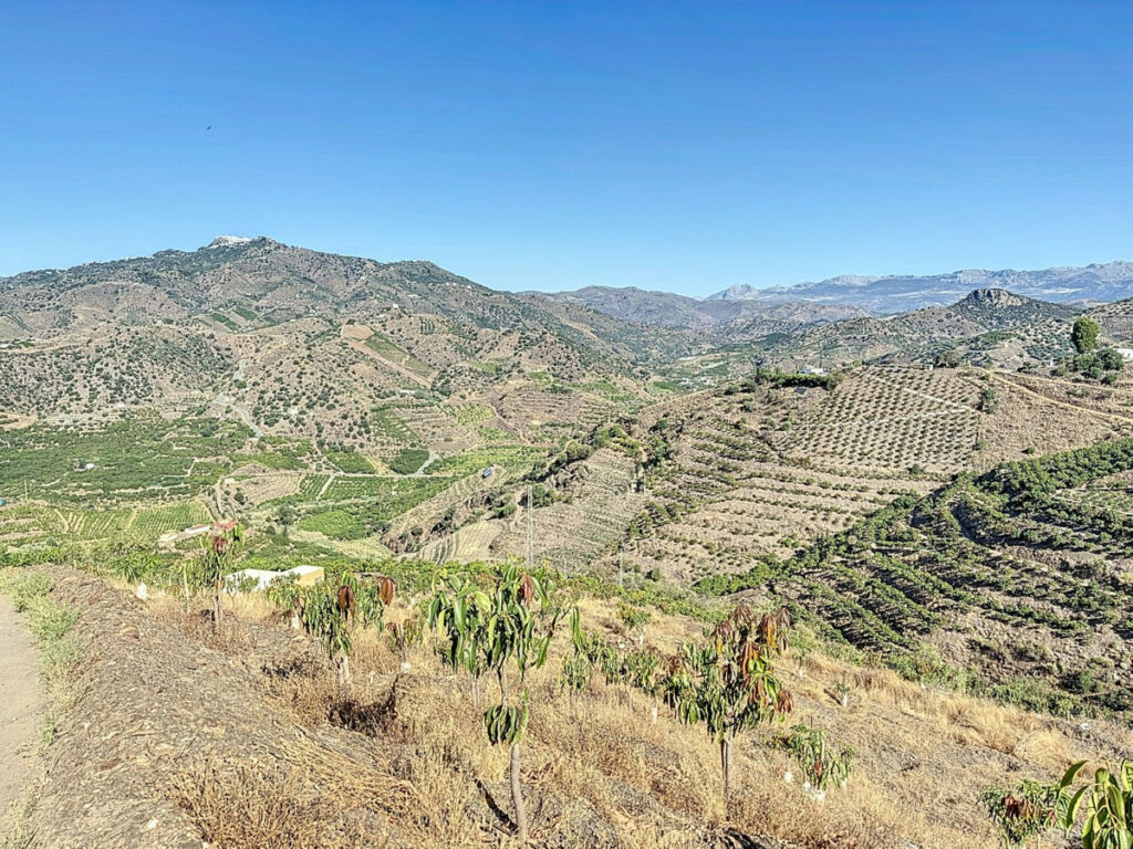 Finca - Cortijo Benamargosa Málaga - imagen 11
