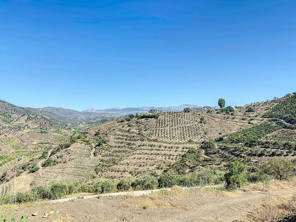 Finca - Cortijo Benamargosa Málaga - imagen 12