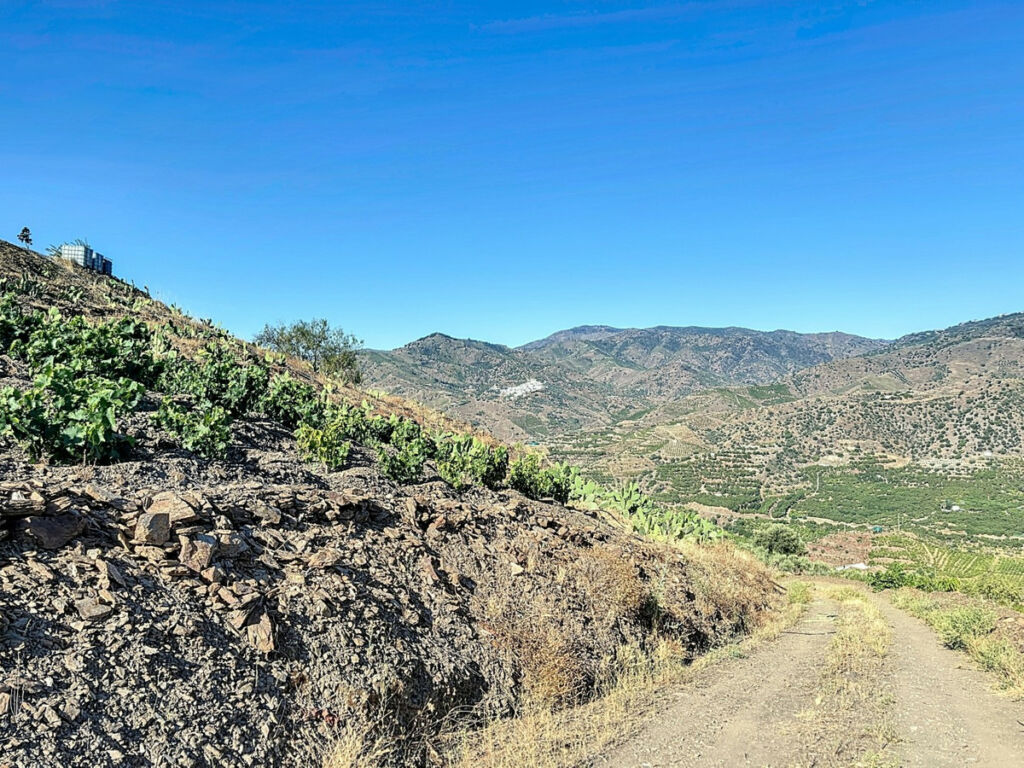 Finca - Cortijo Benamargosa Málaga - imagen 20