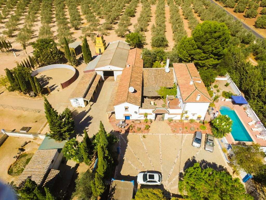 Finca - Cortijo Antequera Málaga - Bild 2