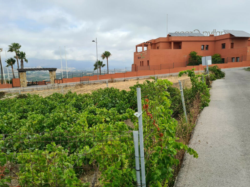 Residential Plot Manilva Málaga - Bild 5